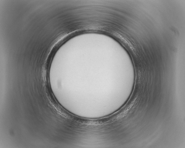 X0000115531029200912040946