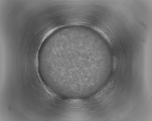 X0000115531031200912040946