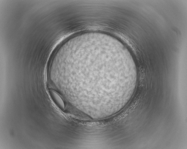 X0000115531032200912040946