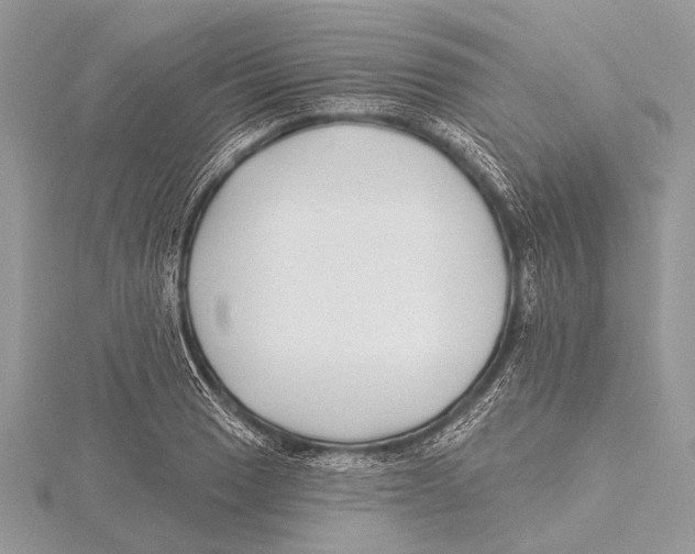 X0000115531033200912040946