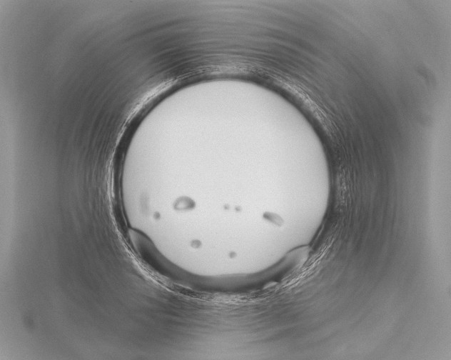 X0000115531034200912040946