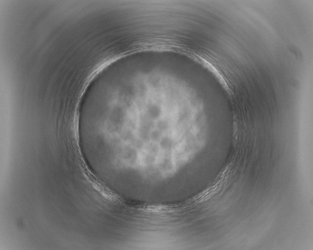 X0000115531035200912040946