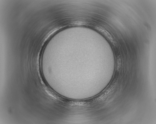 X0000115531039200912040946