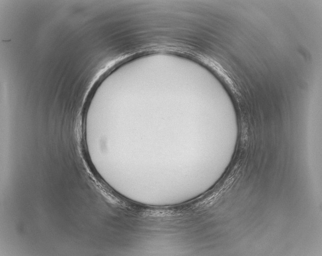 X0000115531040200912040946