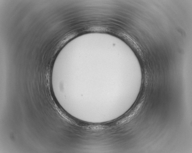 X0000115531041200912040946