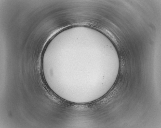 X0000115531044200912040946