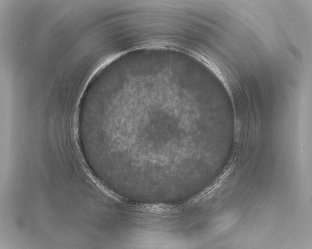 X0000115531045200912040946