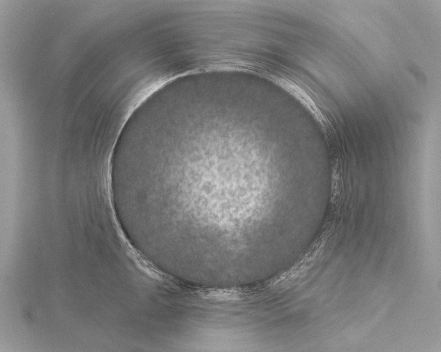 X0000115531047200912040946