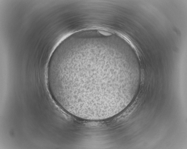 X0000115531048200912040946