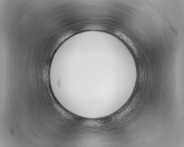 X0000115531049200912040946