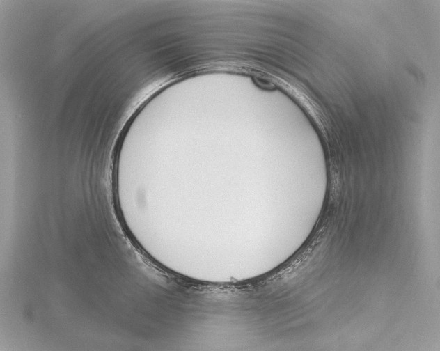 X0000115531050200912040946