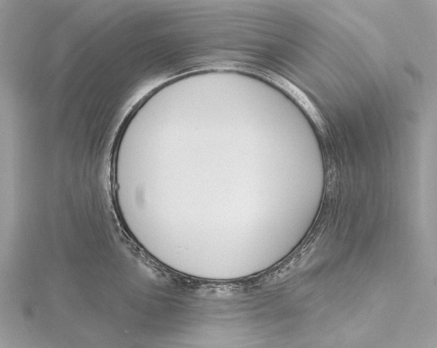 X0000115531051200912040946