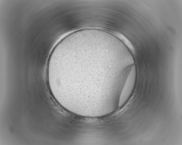 X0000115531052200912040946