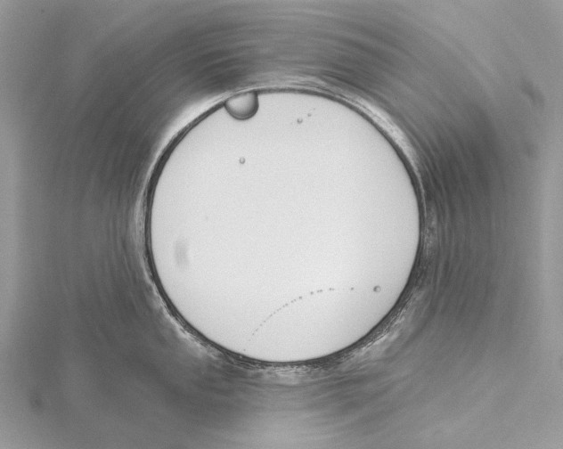 X0000115531053200912040946