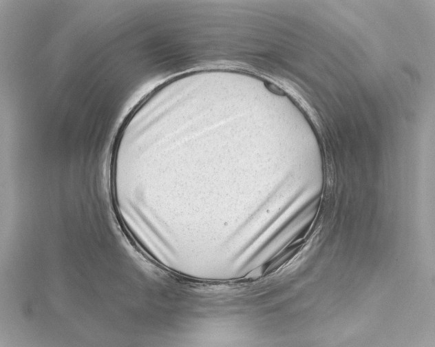 X0000115531054200912040946