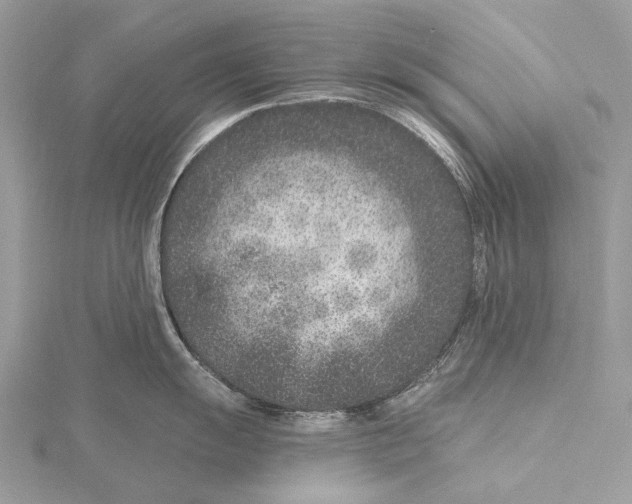 X0000115531055200912040946