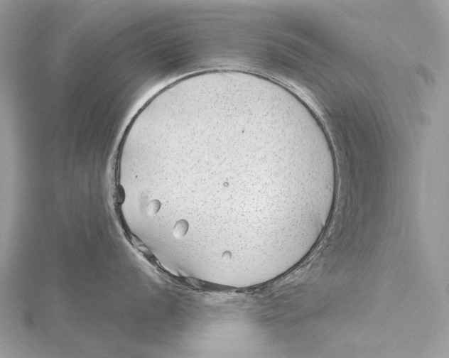 X0000115531056200912040946