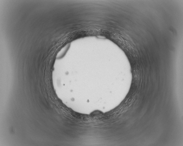 X0000115531057200912040945