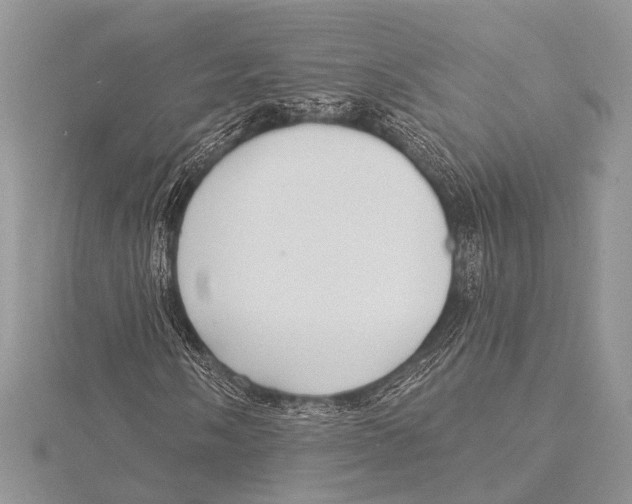 X0000115531058200912040945