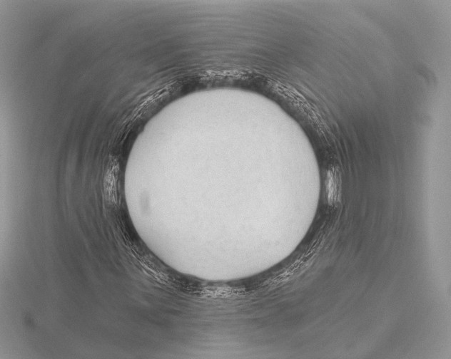 X0000115531059200912040945