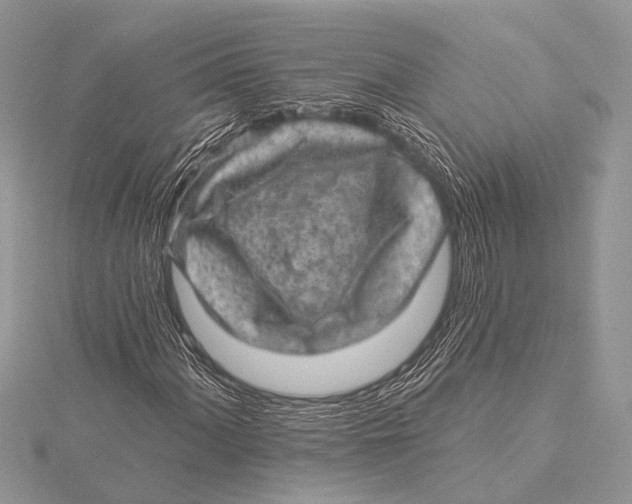 X0000115531060200912040945