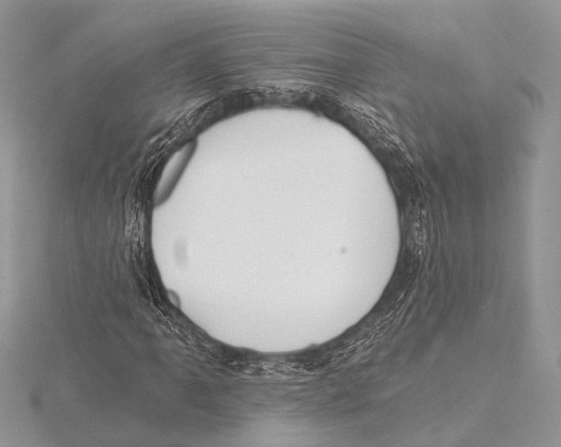 X0000115531061200912040945