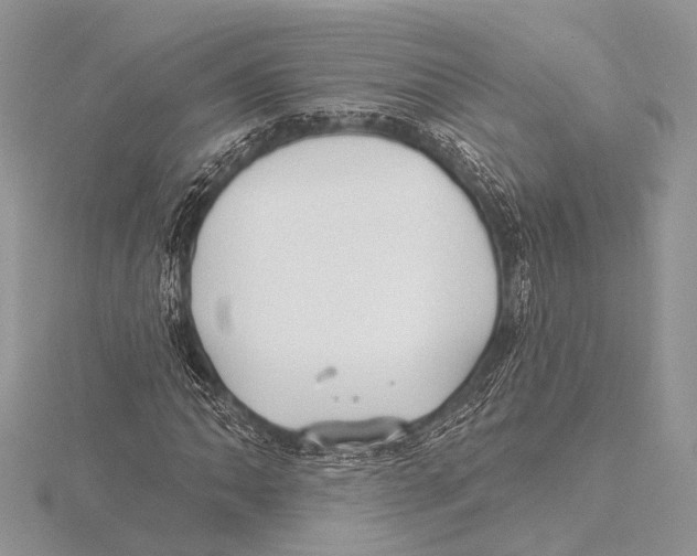 X0000115531062200912040945