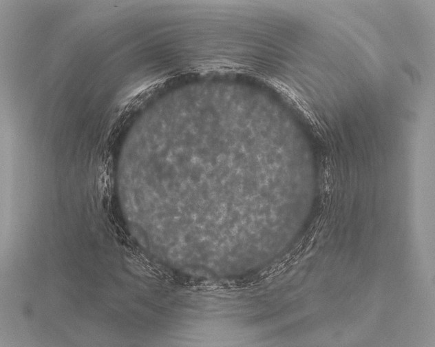 X0000115531063200912040945