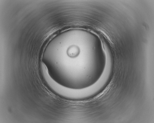 X0000115531065200912040945