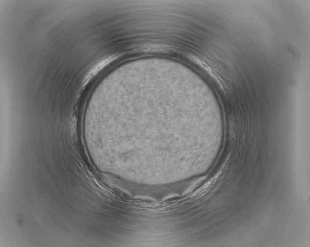 X0000115531066200912040945