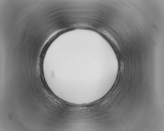 X0000115531068200912040945