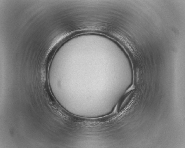 X0000115531069200912040945