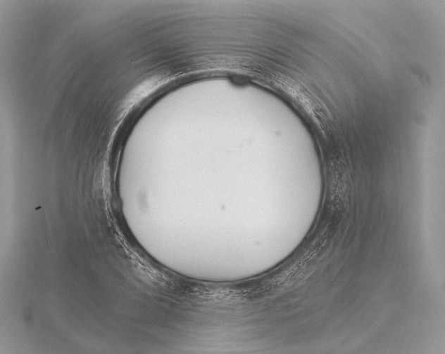 X0000115531072200912040945