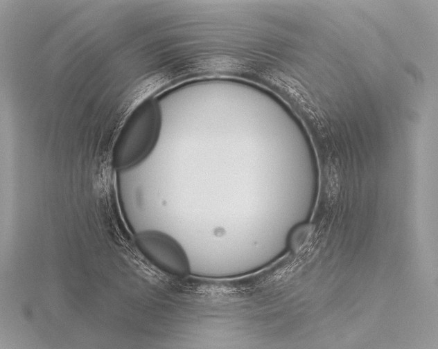 X0000115531073200912040945