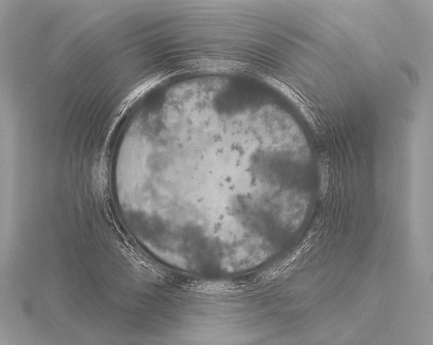 X0000115531074200912040945