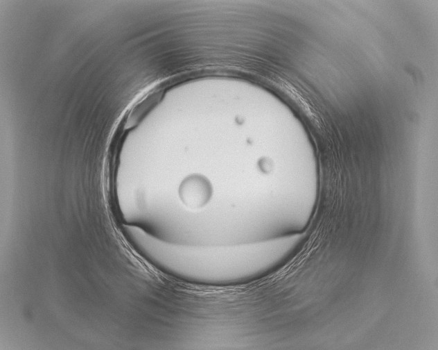 X0000115531076200912040945