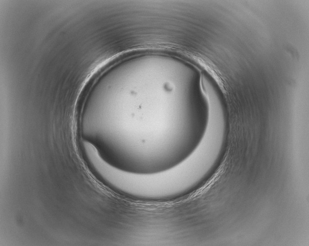 X0000115531077200912040945