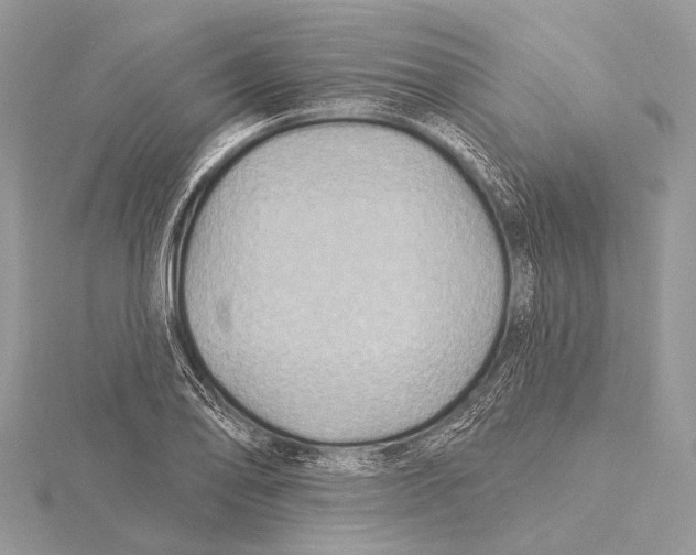 X0000115531078200912040945