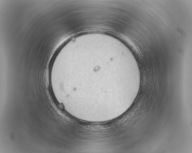 X0000115531079200912040945