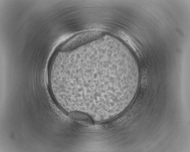 X0000115531080200912040945