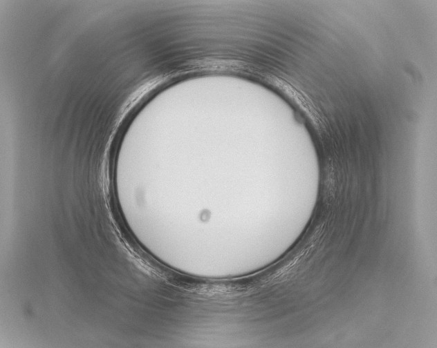 X0000115531082200912040945