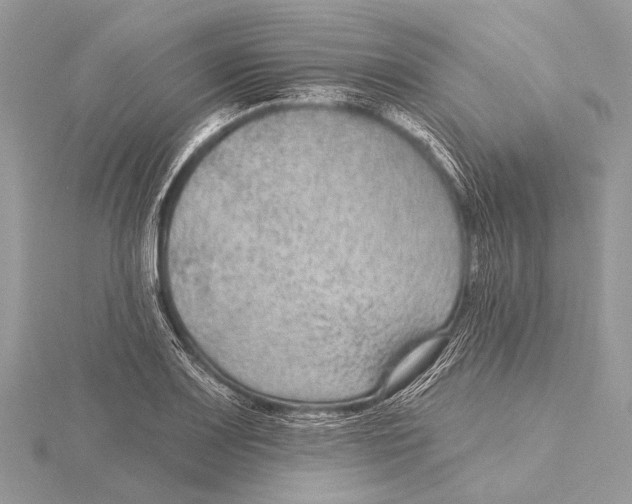 X0000115531083200912040945