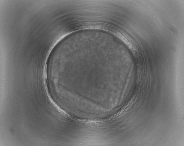 X0000115531084200912040945