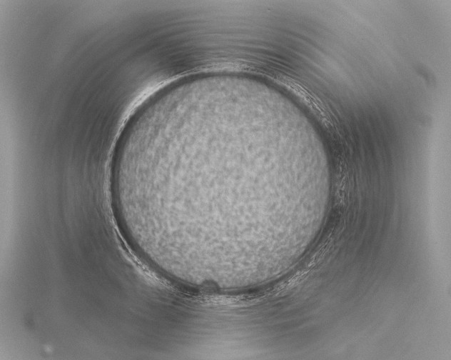 X0000115531086200912040945