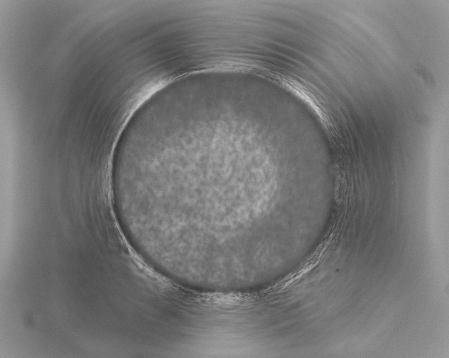 X0000115531087200912040945