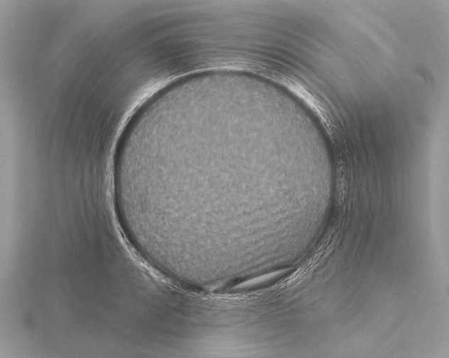 X0000115531088200912040945