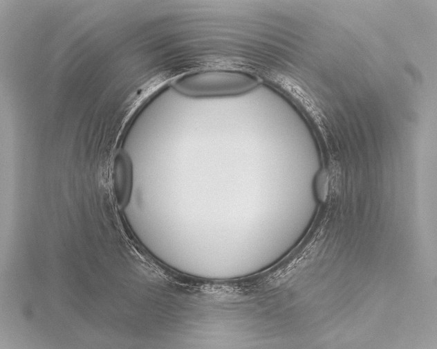 X0000115531089200912040945