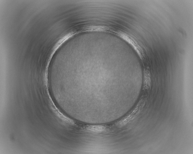 X0000115531090200912040945