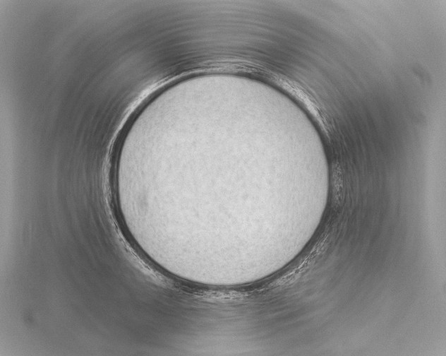 X0000115531091200912040945