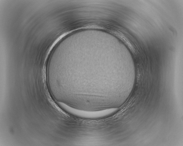 X0000115531092200912040945